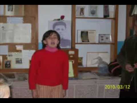 omshi 2008 rusebis jishi ustamis ustamisis suratebi suratebi