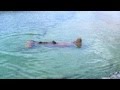Real Life Mermaid Found Proof of Mermaids (Real Footage)