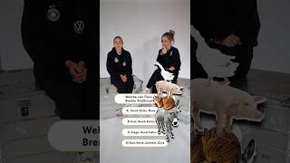2auSGigx4PE Video Image