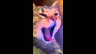 Panico Fear