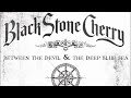 Black Stone Cherry - Can't You See (Audio)