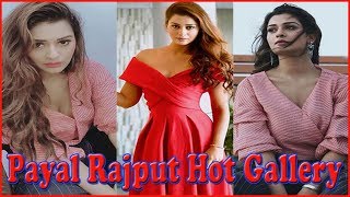Payal Rajput Payal Rajput Hot Photos Gallery Pics Photo Shoot Pics Hot Photos Gallery Mee Tv