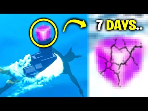 Fortnite Is Trying To Hide This SECRET..