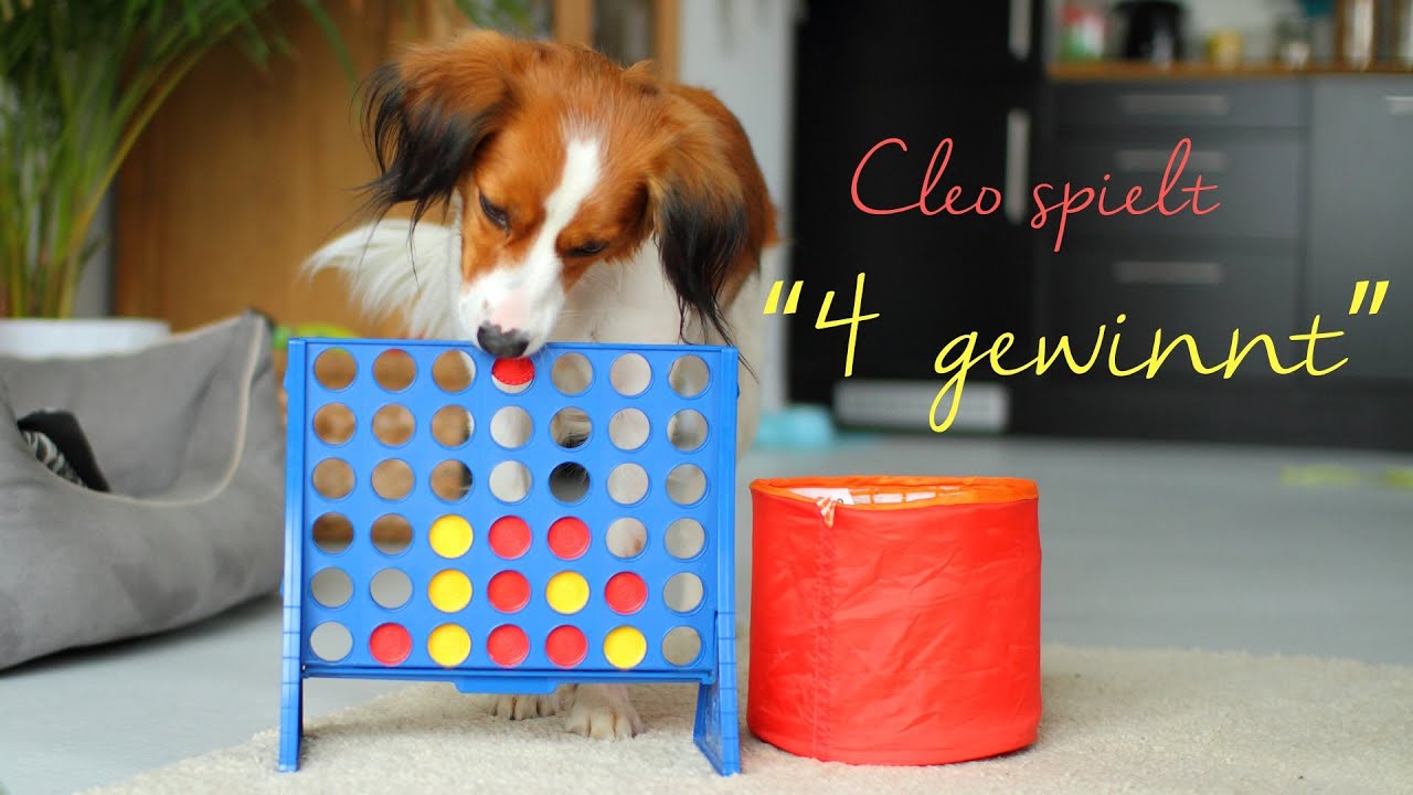 Watch How to Housebreak a New Puppy video Watch How to Housebreak a New Puppy video