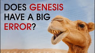 Video: Importance of Camels in Biblical Archaeology - InspiringPhilosophy