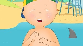 Caillou Türkçe Hd Caillou Ve Şaka Kayu Cizgi Filmi Yeni