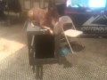 Puppy Training