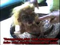 image Kisah Nyata Anak Durhaka Pada Ke Dua Orang Tua Nya