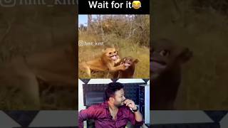 Reaction Video Fun Fox Vlogs