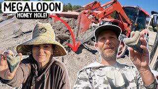 Bone Valley Fossil Farm Finding Megalodon Shark Teeth In Florida