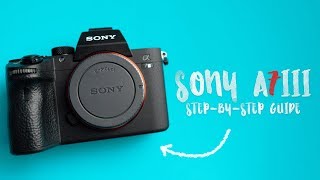 Best Settings For The Sony A7Iii A Step-By-Step Guide