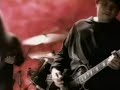 Flesh Video preview