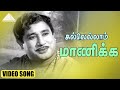 கல்லெல்லாம் மாணிக்க Video Song | Aalayamani Movie Songs | Sivaji Ganesan | Viswanathan–Ramamoorthy