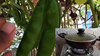 ??? ??????? ???? ???? ?? ?? ?????? ????? | Rooftop garden vegetable recipe vlog