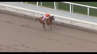 Justify runs like a Kentucky Derby contender Justify runs like a Kentucky Derby contender