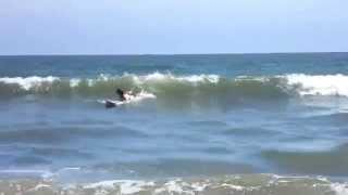Watch Spike Jones By The Beautiful Sea video
