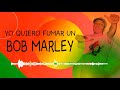 Yo Kiero Fumar Un Bob Marley Video preview