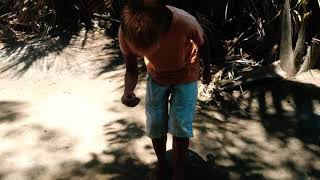 Takse Sa Ee