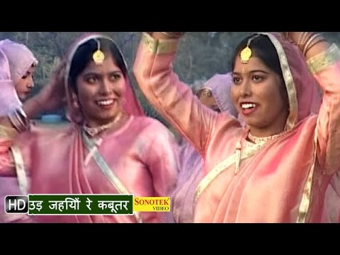 Haryanvi Hot Songs - Ud Jaiyo Re Kabutar | Patli Kamar | Sonali...