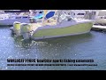 Video WORLDCAT 290DC- Bowrider, Sports-Fishing, Power Catamaran FOR SALE IN AUSTRALIA
