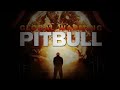 Pitbull - Last Night ft. Havana Brown & Afrojack(FULL SONG)