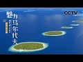 《魅力马尔代夫》第一集 千岛之国 | CCTV纪录