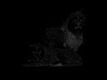 19 86 Video preview