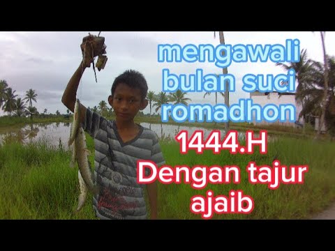 ANAK kampung mah ga susah cari lauk,tinggal nyebur sawah dapat ikan