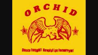 Watch Orchid Dont Rat Out Your Friends video