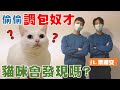 【豆漿 - SoybeanMilk】如果奴才被調包 貓咪會發現嗎? ft.韋禮安