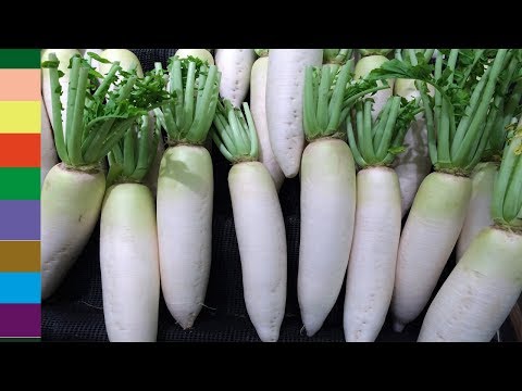 Những Cấm Kị Khi Ăn Củ Cải Trắng