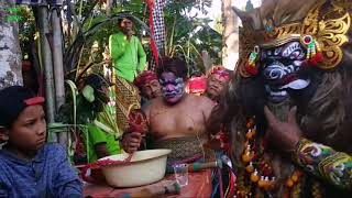 Seni Jaranan Buto Gaya Baru " Seno joyo " - With Aditya ( Dalang Koplak ) - Live Ndarungan Sempu