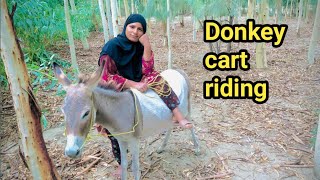 Donkey Riding Riding Donkey Donkey Ride Donkey Riding Girls Rukhsana Village Vlogs