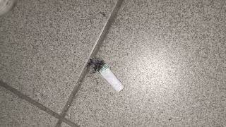 Cig Crush In Af1