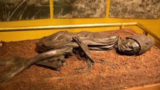 Tollund Man