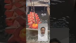 Aurat Per Farz Hai