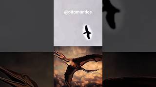 Animais Extintos Capturados Por Câmeras