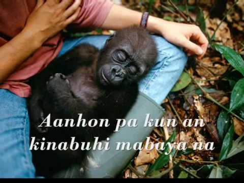 Aanhon Pa... (with subtitle) waray-waray song