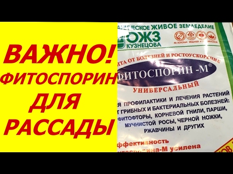 Пошаговая Инструкции 83 Пошаговая Инструкции 35
