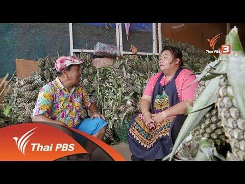 สายสืบเจาะตลาด : สำรวจราคาผลไม้ ตลาดสุรนครเมืองใหม่ จ.นครราชสีมา (15 ก.ย. 59)