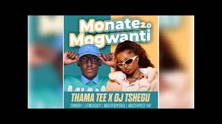 Thama Tee X Dj Tshegu Ft Cowboii,Leemckrazy,Matuteboyrsa & Masterpiece Yvk -Monate Mogwanti 2.0