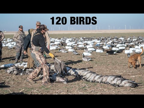 VLOG HUNT VIDEOS