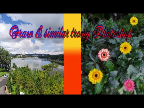 Cách chọn vùng rất hay của lệnh Grow và Similar trong Photoshop. @Thịnh 68tran