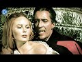 GRAVE OF THE VAMPIRE: SEED OF TERROR 🎬 Full Exclusive Horror Movie Premiere 🎬 English HD 2023