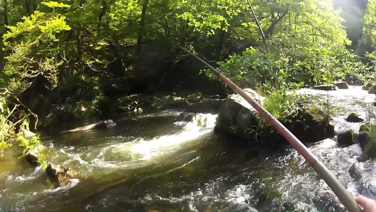 Koursk la chasse la pêche les magasins à