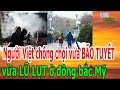 Người Việt ch,ố,ng ch,ọ,i v,ừ,a B,Ã,O T,U,Y,Ế,T v,ừ,a L,Ũ L,Ụ,T ở đ,ô,ng b,ắ,c Mỹ