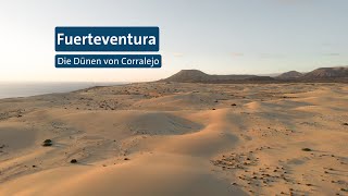 Fuerteventura - Die Dünen Von Corallejo