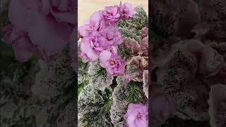 African Violet Rose Bouquet