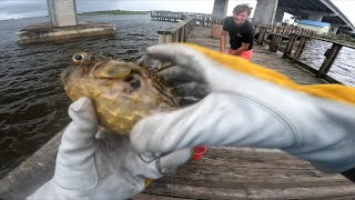 Fishing From Dunlawton Fishing Pier , , , , , , ,