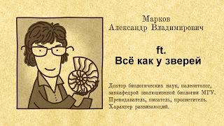 Александр Марков О Сексуальной Эволюции // Всё Как У Зверей Ft. Живая Планета